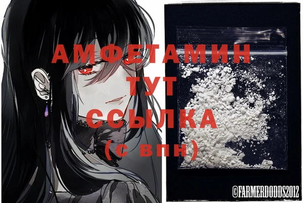 стаф Лабытнанги