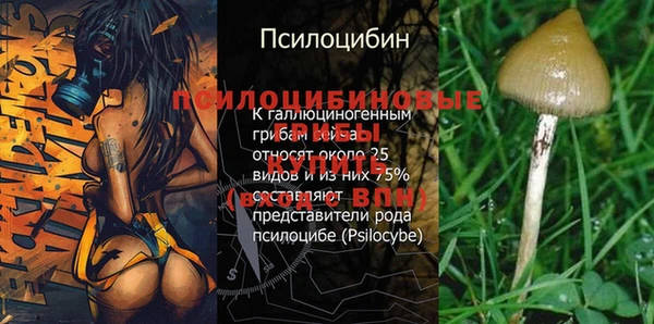 твердый Ладушкин