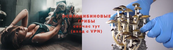 стаф Лабытнанги