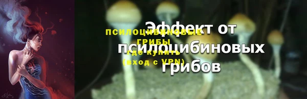 твердый Ладушкин