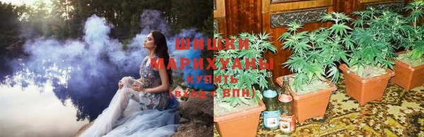 твердый Ладушкин