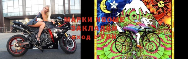 твердый Ладушкин