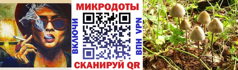 Галлюциногенные грибы ЛСД  Ясный 